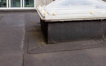 disadvantages of South Cave flat roofs